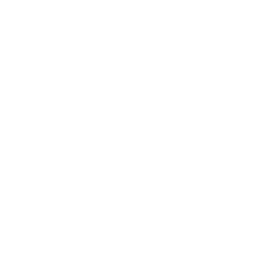 ce logo Cary