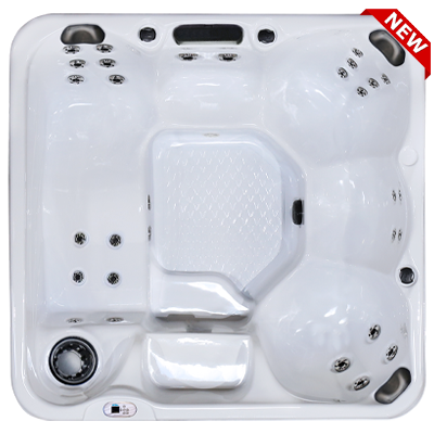 Hawaiian Plus PPZ-628L hot tubs for sale in hot tubs spas for sale Cary