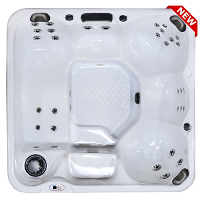 Hawaiian Plus PPZ-634L hot tubs for sale in hot tubs spas for sale Cary