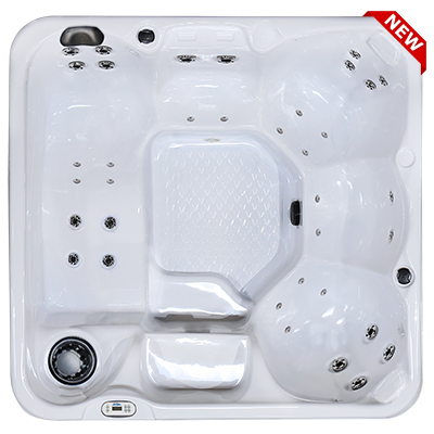 Hawaiian PZ-636L hot tubs for sale in hot tubs spas for sale Cary
